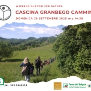 CASCINA GRANBEGO CAMMINA